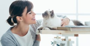 Introduction to Feline Care Certification