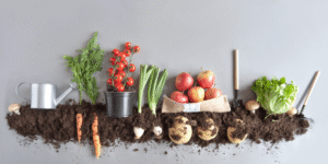 Organic Gardening Certification