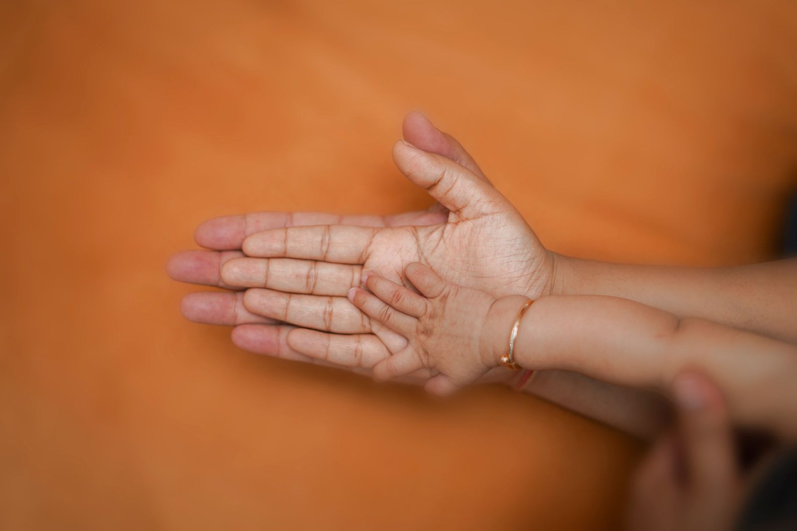 The Care Certificate - A touching close-up of a parent's hand holding a child's hand, symbolizing family unity.