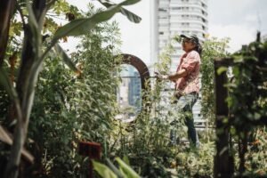 Urban Gardening Certification - A woman gardener enjoying her time in a lush urban rooftop garden surrounded by skyscrapers.