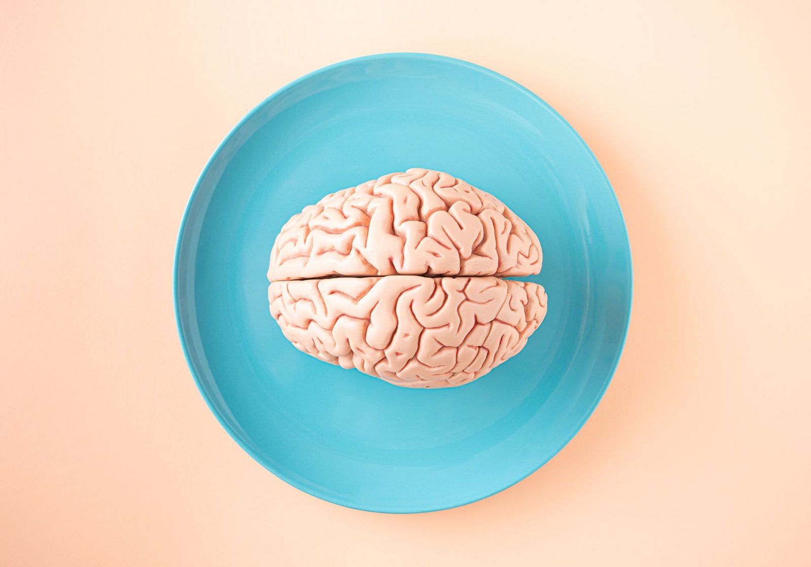Food Psychology for Mind and Body Certification - A human brain model placed on a blue plate, viewed from above against a pastel background.