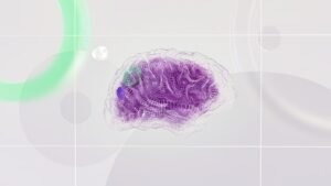 Motor Neurone Disease Awareness Certification - 3D rendered abstract design featuring a digital brain visual with vibrant colors.