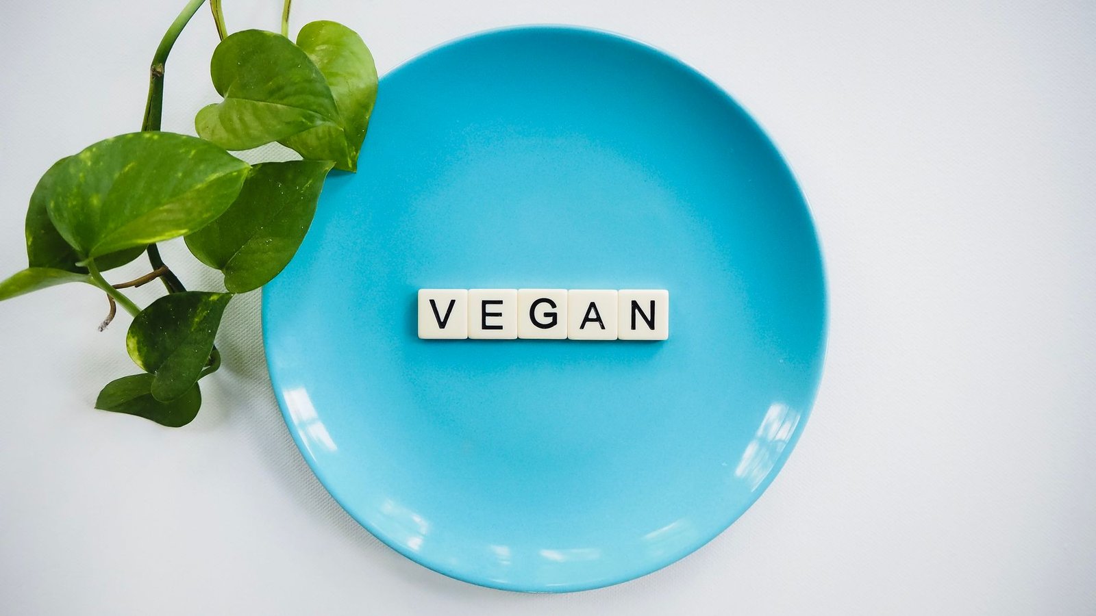 Vegan Health, Nutrition and Lifestyle Certification - A blue plate with the word 'VEGAN' and a leafy plant, symbolizing a plant-based diet.