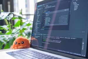 Project Development and Testing Certification - Open laptop with code editor displaying, next to an orange plush toy and green plants.
