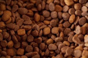 Pet Nutrition Diploma - An appetizing close-up of brown dry pet food kibble, perfect for pet nutrition imagery.