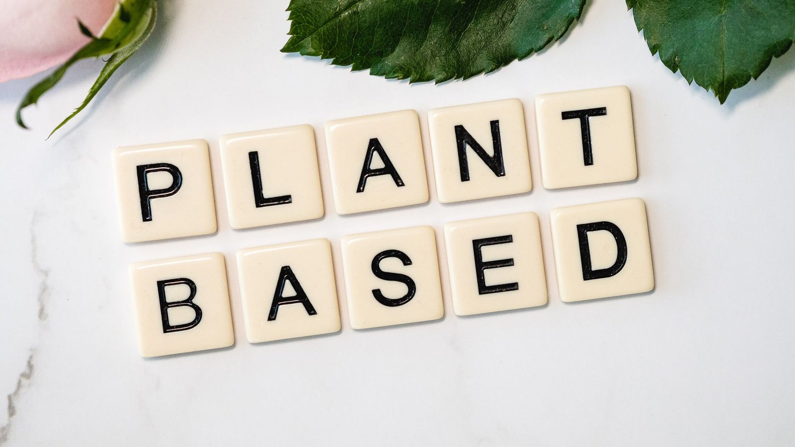 Plant-Based Nutrition Certification - Scrabble tiles spelling 'Plant Based' surrounded by green leaves, promoting a vegan lifestyle.