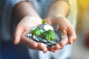 Sustainable Business Certification - Hands cupping coins with a green plant sprouting, symbolizing financial growth.