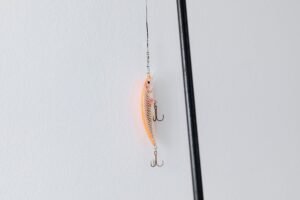 Hook, Line and Sinker - Detailed close-up of a fishing lure attached to a fishing rod, perfect for angling or fishing enthusiasts.