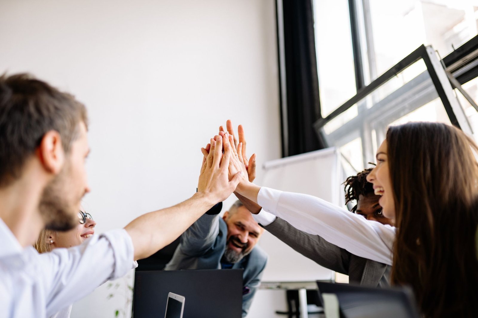 Creating and Maintaining a Successful Organisation Certification - Vibrant office team sharing a group high five in a bright workspace.